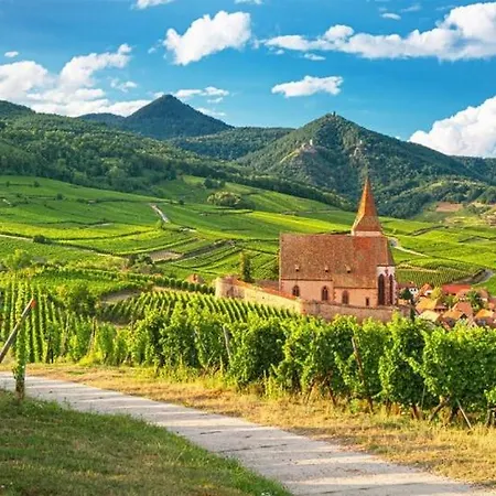 La Poulie - With Balcony And Free Privative Parking - Close To Colmar Διαμέρισμα