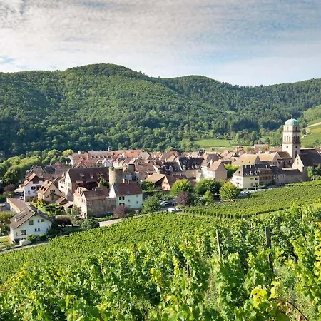 La Poulie - With Balcony And Free Privative Parking - Close To Colmar Sainte-Croix-en-Plaine