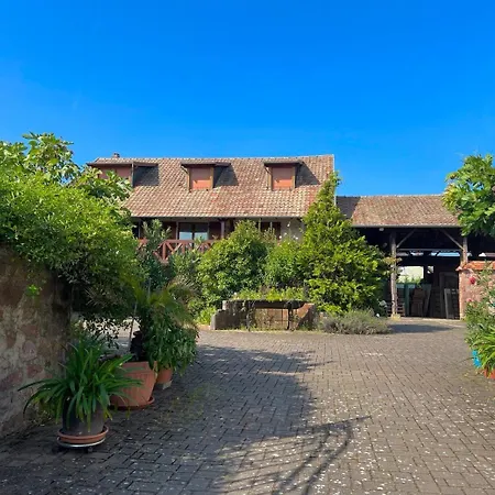 Διαμέρισμα La Poulie - With Balcony And Free Privative Parking - Close To Colmar Sainte-Croix-en-Plaine