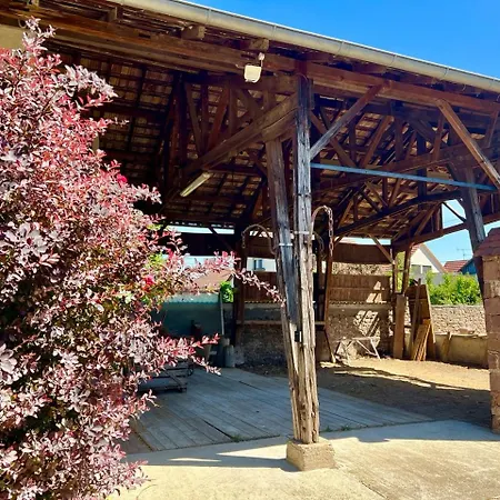 La Poulie - With Balcony And Free Privative Parking - Close To Colmar Apartment Sainte-Croix-en-Plaine